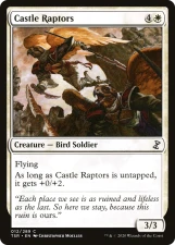 Castle Raptors card image