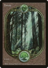 Forest card image