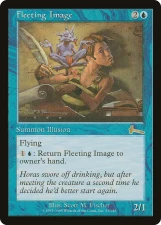 Fleeting Image card image