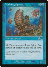 Walking Sponge card image