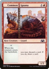 Common Iguana card image