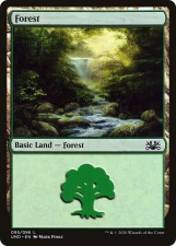 Forest card image