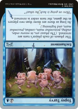 Topsy Turvy card image