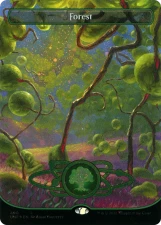 Forest card image