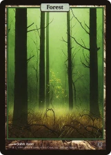 Forest card image