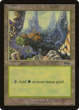 Forest card image