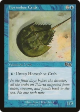 Horseshoe Crab card image