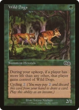 Wild Dogs card image