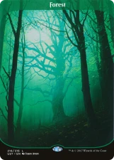 Forest card image