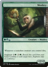 Monkey- card image