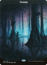 Swamp card image