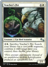 Teacher’s Pet card image