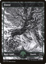 Forest card image