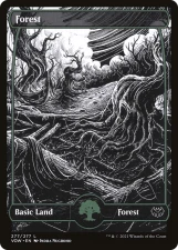 Forest card image
