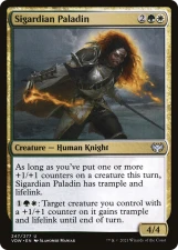 Sigardian Paladin card image