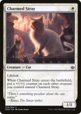 Charmed Stray card image