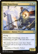 Elite Guardmage card image