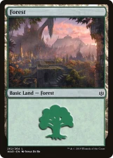 Forest card image