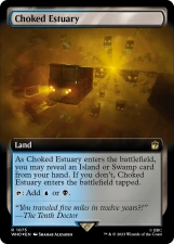 Choked Estuary card image