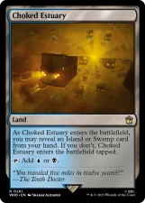 Choked Estuary card image