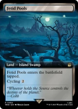 Fetid Pools card image