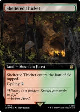 Sheltered Thicket card image
