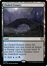 Choked Estuary card image