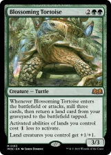 Blossoming Tortoise card image