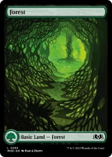 Forest card image