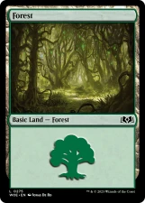 Forest card image