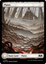 Plains card image