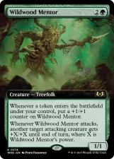 Wildwood Mentor card image