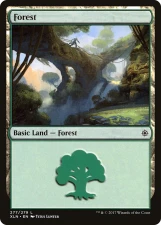 Forest card image