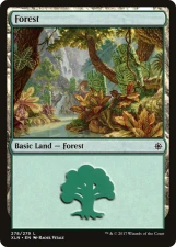 Forest card image