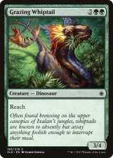 Grazing Whiptail card image
