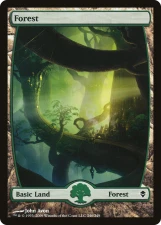Forest card image