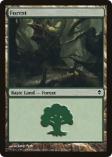 Forest card image