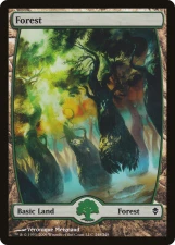 Forest card image