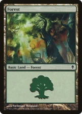 Forest card image