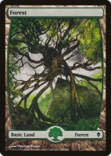 Forest card image