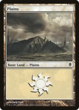 Plains card image