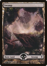 Swamp card image