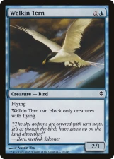 Welkin Tern card image
