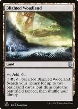 Blighted Woodland card image