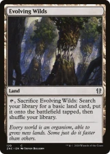 Evolving Wilds card image