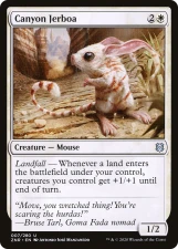Canyon Jerboa card image