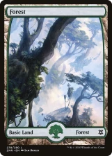 Forest card image