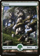 Forest card image