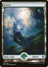 Forest card image