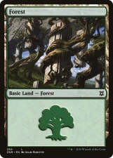 Forest card image